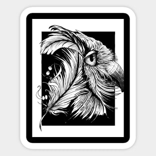 Feather Hawk Sticker